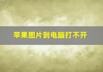 苹果图片到电脑打不开