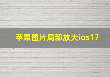 苹果图片局部放大ios17