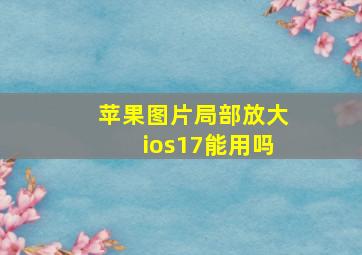 苹果图片局部放大ios17能用吗