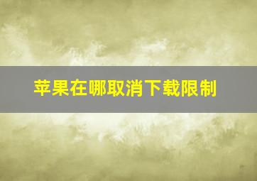 苹果在哪取消下载限制