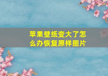 苹果壁纸变大了怎么办恢复原样图片