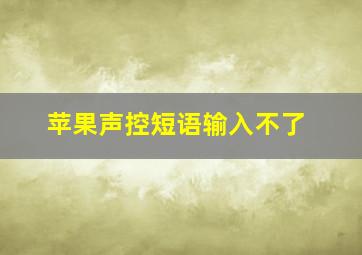 苹果声控短语输入不了