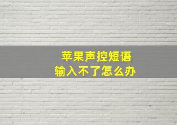 苹果声控短语输入不了怎么办