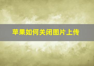 苹果如何关闭图片上传