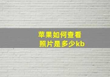 苹果如何查看照片是多少kb