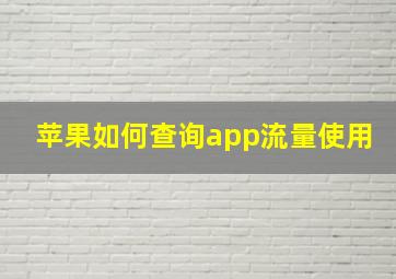 苹果如何查询app流量使用