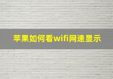 苹果如何看wifi网速显示