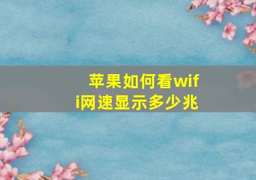 苹果如何看wifi网速显示多少兆