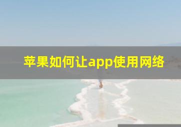 苹果如何让app使用网络