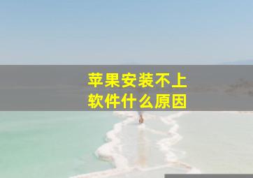 苹果安装不上软件什么原因