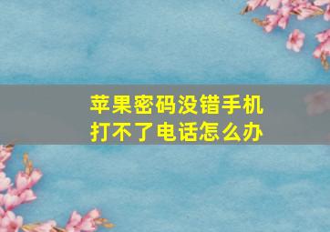 苹果密码没错手机打不了电话怎么办