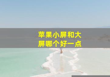 苹果小屏和大屏哪个好一点