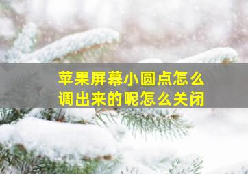 苹果屏幕小圆点怎么调出来的呢怎么关闭