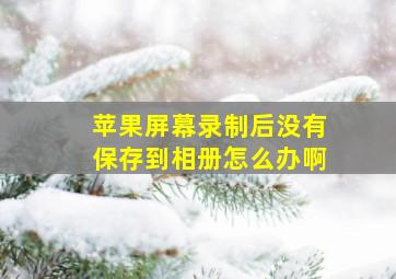 苹果屏幕录制后没有保存到相册怎么办啊