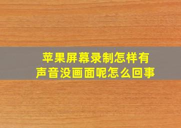 苹果屏幕录制怎样有声音没画面呢怎么回事