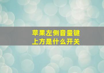 苹果左侧音量键上方是什么开关