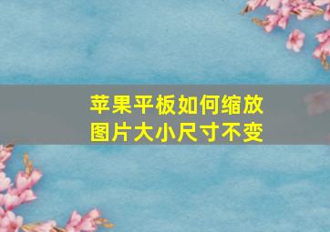 苹果平板如何缩放图片大小尺寸不变