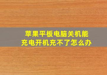 苹果平板电脑关机能充电开机充不了怎么办