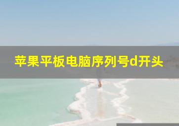 苹果平板电脑序列号d开头