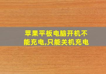 苹果平板电脑开机不能充电,只能关机充电