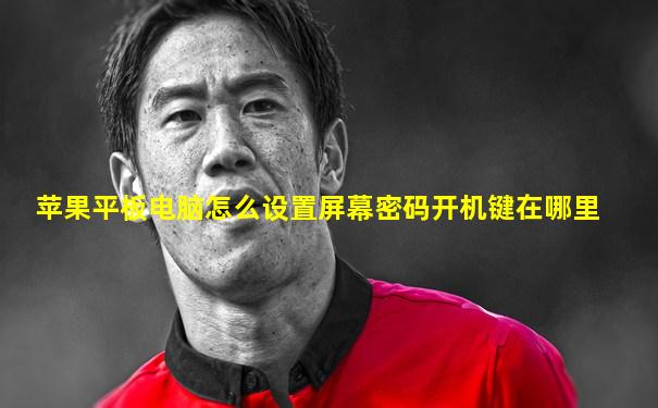 苹果平板电脑怎么设置屏幕密码开机键在哪里