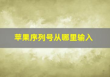 苹果序列号从哪里输入