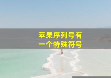 苹果序列号有一个特殊符号