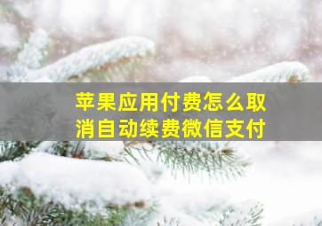 苹果应用付费怎么取消自动续费微信支付