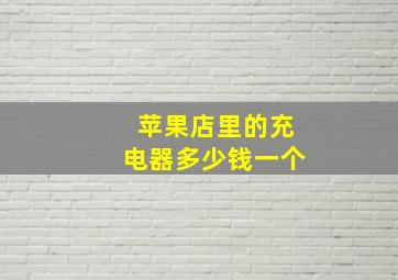 苹果店里的充电器多少钱一个