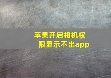 苹果开启相机权限显示不出app