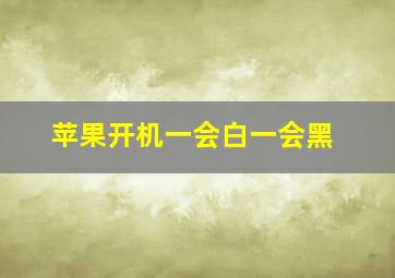 苹果开机一会白一会黑