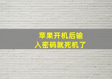 苹果开机后输入密码就死机了