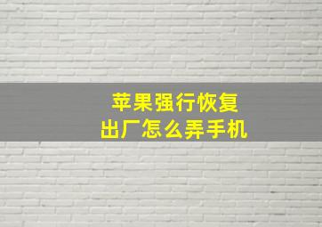 苹果强行恢复出厂怎么弄手机