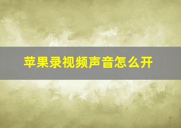 苹果录视频声音怎么开