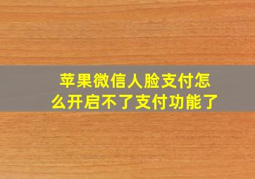 苹果微信人脸支付怎么开启不了支付功能了