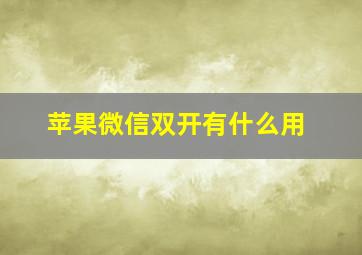 苹果微信双开有什么用