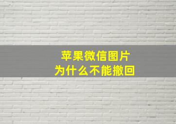 苹果微信图片为什么不能撤回