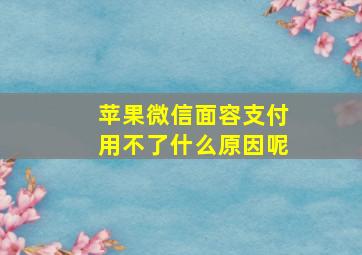 苹果微信面容支付用不了什么原因呢