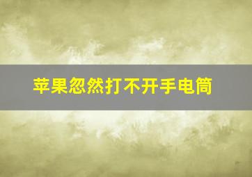 苹果忽然打不开手电筒