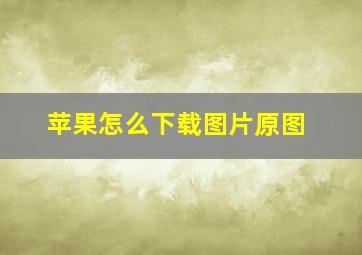 苹果怎么下载图片原图