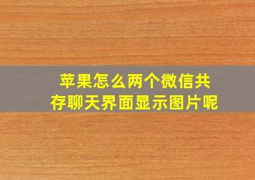 苹果怎么两个微信共存聊天界面显示图片呢