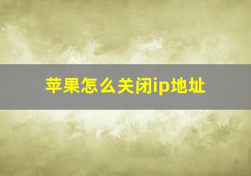 苹果怎么关闭ip地址