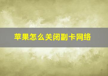 苹果怎么关闭副卡网络