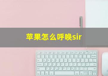 苹果怎么呼唤sir