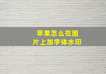 苹果怎么在图片上加字体水印