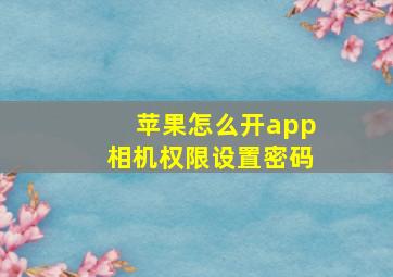 苹果怎么开app相机权限设置密码