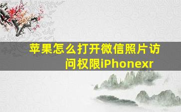 苹果怎么打开微信照片访问权限iPhonexr