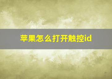 苹果怎么打开触控id