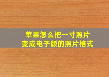 苹果怎么把一寸照片变成电子版的照片格式