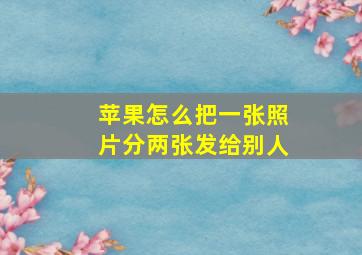 苹果怎么把一张照片分两张发给别人